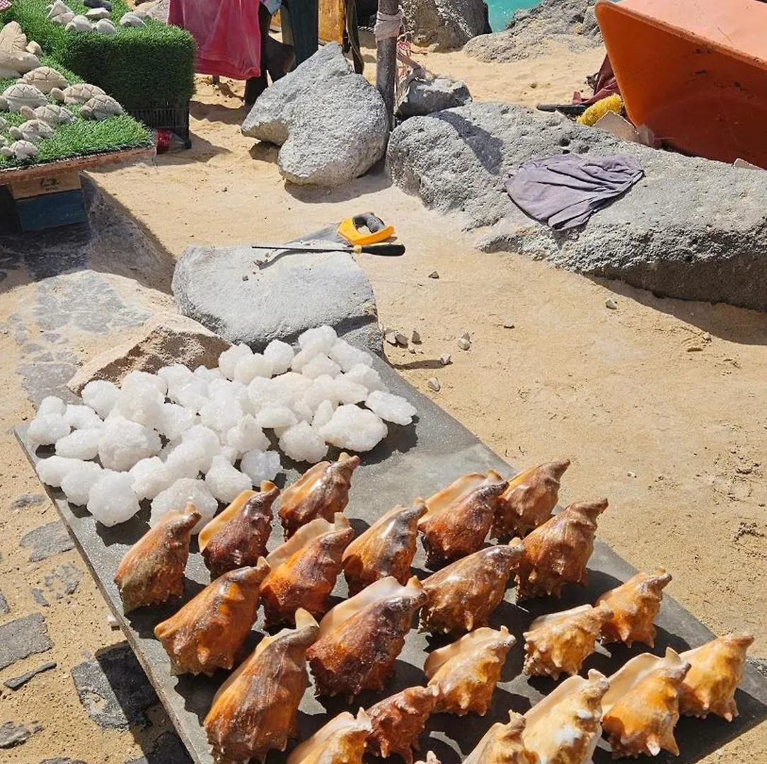 Caza Sodade In Leme Bedje Santa María