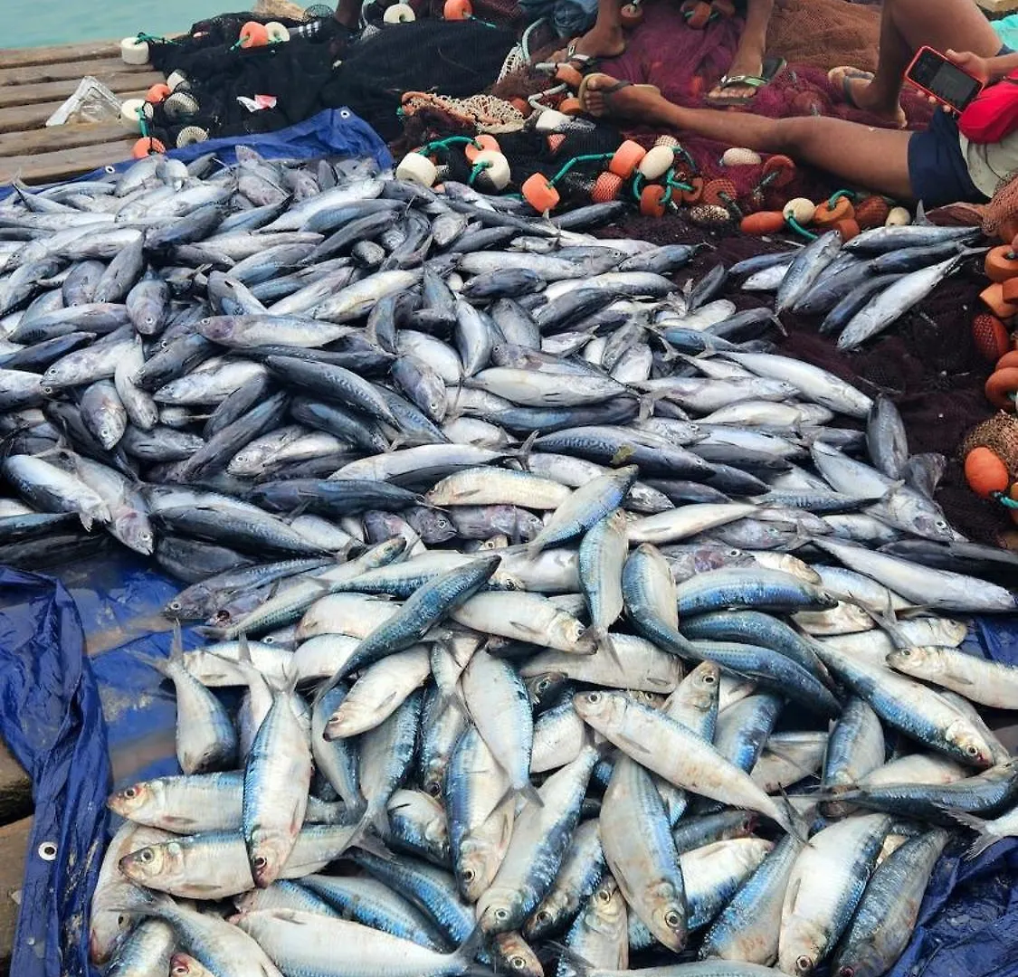 Caza Sodade In Leme Bedje Santa María 0*,  Cabo Verde